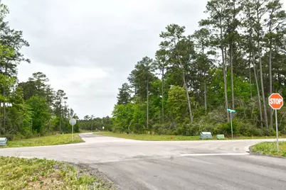 15812 Wood Grove Way, Willis, TX 77378 - Photo 6