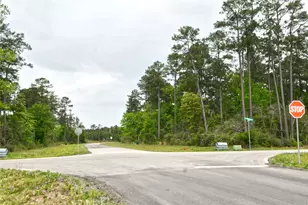 15812 Wood Grove Way, Willis, TX 77378 - Photo 6