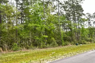 15812 Wood Grove Way, Willis, TX 77378 - Photo 4