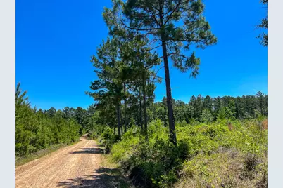 T-2 Union Springs Road, Corrigan, TX 75939 - Photo 4