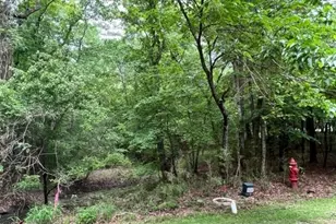 59 S Pine Harbour Dr, Coldspring, TX 77331 - Photo 1