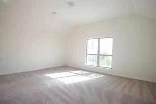 38 Palmero Way, Manvel, TX 77578 - Photo 20