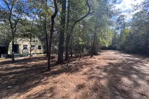 9212 Blue Lake Dr, Plantersville, TX 77363 - Photo 4