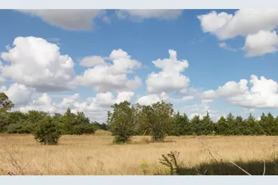 Tbd Fm 332, Brenham, TX 77833 - Photo 6