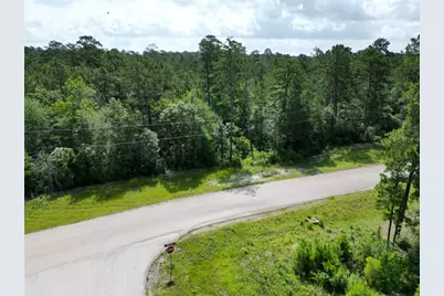 Lot 13 Windmill Road, Huntsville, TX 77340 - Photo 6