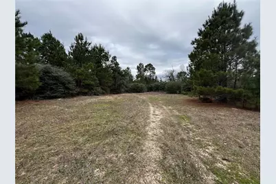 Tbd County Road 207, Centerville, TX 75833 - Photo 1