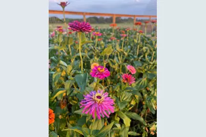 5720 Trackside Road, Chappell Hill, TX 77426 - Photo 14