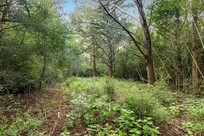 Tbd Homestead Lane, Burton, TX 77835 - Photo 1
