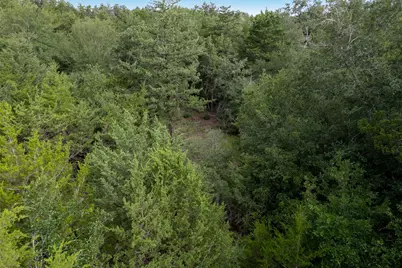 Tbd Homestead Lane, Burton, TX 77835 - Photo 10