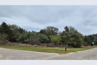 0 Shepard, Hempstead, TX 77445 - Photo 1