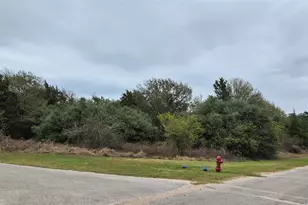 0 Shepard, Hempstead, TX 77445 - Photo 1