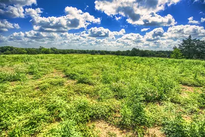 Lot 4 Wonder Hill Road, Chappell Hill, TX 77426 - Photo 8