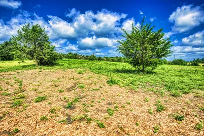 Lot 4 Wonder Hill Road, Chappell Hill, TX 77426 - Photo 6