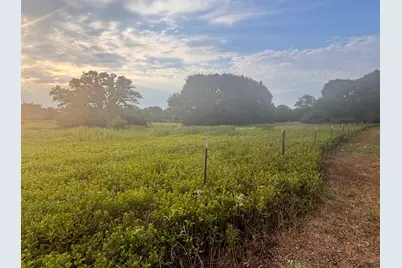 3295 Fm 949, Cat Spring, TX 78933 - Photo 24