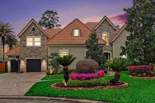 9922 Vintage Villa Dr, Houston, TX 77070 - Photo 48