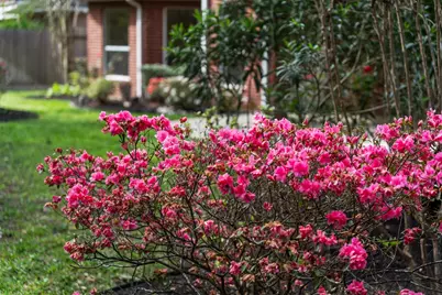 8324 Emerald Meadow Lane, Humble, TX 77396 - Photo 44