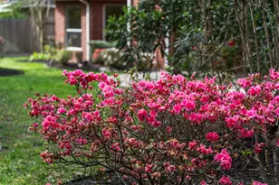 8324 Emerald Meadow Ln, Humble, TX 77396 - Photo 44