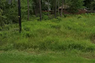 1307 Flamingo St, Conroe, TX 77385 - Photo 2