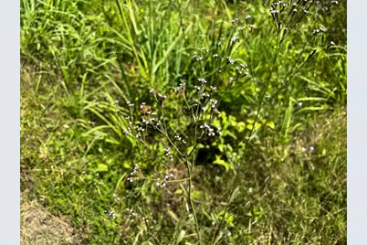 11 Carters Ferry Road, Milam, TX 75959 - Photo 4