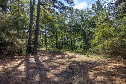 Tract 2 Farm To Market 1940, Franklin, TX 77856 - Photo 2