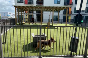 3550 Main St, Houston, TX 77002 - Photo 30