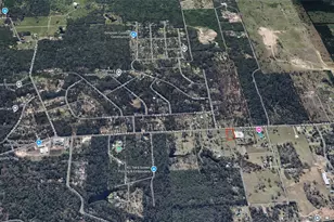 23215 Nichols Sawmill, Hockley, TX 77447 - Photo 4