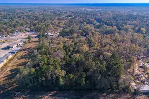 2876 Ted Trout Dr, Hudson, TX 75904 - Photo 10