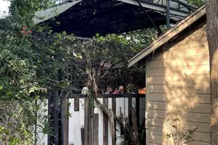 1706 Hawthorne St, Houston, TX 77098 - Photo 18