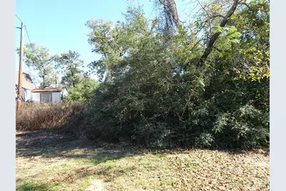 24901 Shannon St Street, Hempstead, TX 77445 - Photo 6