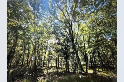 Lot 822 Eskimo Lane/ Path, Angleton, TX 77515 - Photo 2