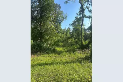 Tbd Little Lane, Shepherd, TX 77371 - Photo 2