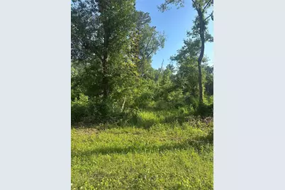 Tbd Little Lane, Shepherd, TX 77371 - Photo 4