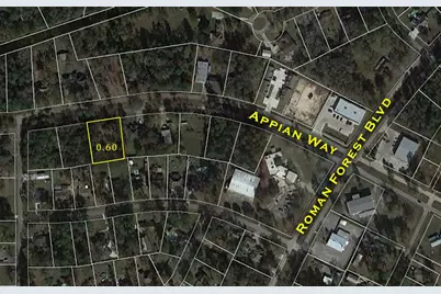 2210 Appian Way, New Caney, TX 77357 - Photo 6