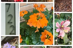 722 Azaleadell Dr, Houston, TX 77018 - Photo 24