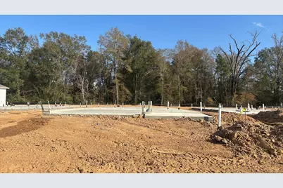 20903 Wildbird Cherry Lane, Porter, TX 77365 - Photo 2