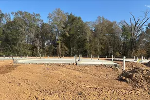 20903 Wildbird Cherry Ln, Porter, TX 77365 - Photo 2