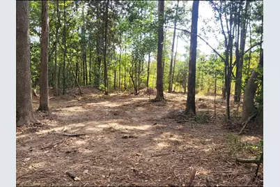 Tbd Bear Hollow, Cleveland, TX 77328 - Photo 1