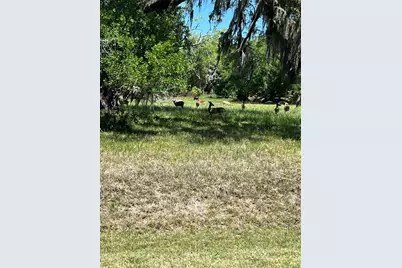 131 Hidden Horse Trail, Angleton, TX 77515 - Photo 2