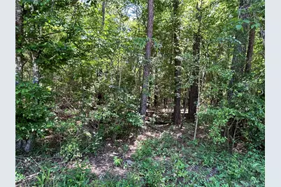 0 Redwood Lane, Montgomery, TX 77356 - Photo 2