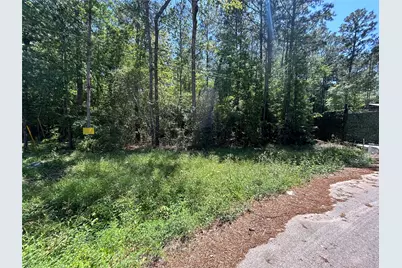 0 Redwood Lane, Montgomery, TX 77356 - Photo 4