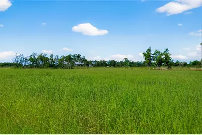 811 County Road 164, Boling, TX 77420 - Photo 16