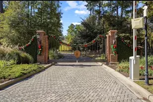 422 N Copa Palm Loop, Montgomery, TX 77316 - Photo 4