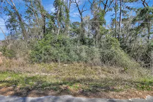 Tbd Lot 112 White Birch Ln, Conroe, TX 77385 - Photo 4