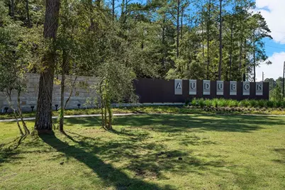 38510 Dancing Pair Way, Magnolia, TX 77354 - Photo 14