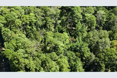 Lot 226 N Canyon Drive, Onalaska, TX 77360 - Photo 16