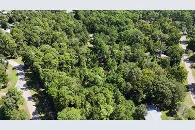 Lot 226 N Canyon Drive, Onalaska, TX 77360 - Photo 22