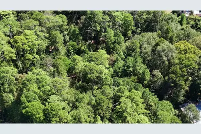 Lot 226 N Canyon Drive, Onalaska, TX 77360 - Photo 14