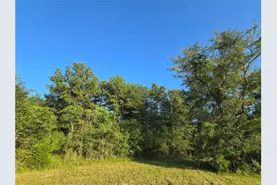 Tbd Hwy 150 W, Coldspring, TX 77331 - Photo 6