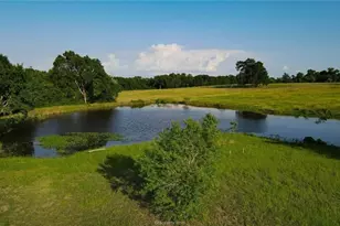 4791 State Hwy 21 W - 25 Acres, Caldwell, TX 77836 - Photo 28