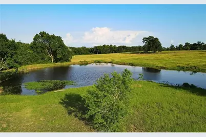 4791 State Highway 21 W - 25 Acres, Caldwell, TX 77836 - Photo 20